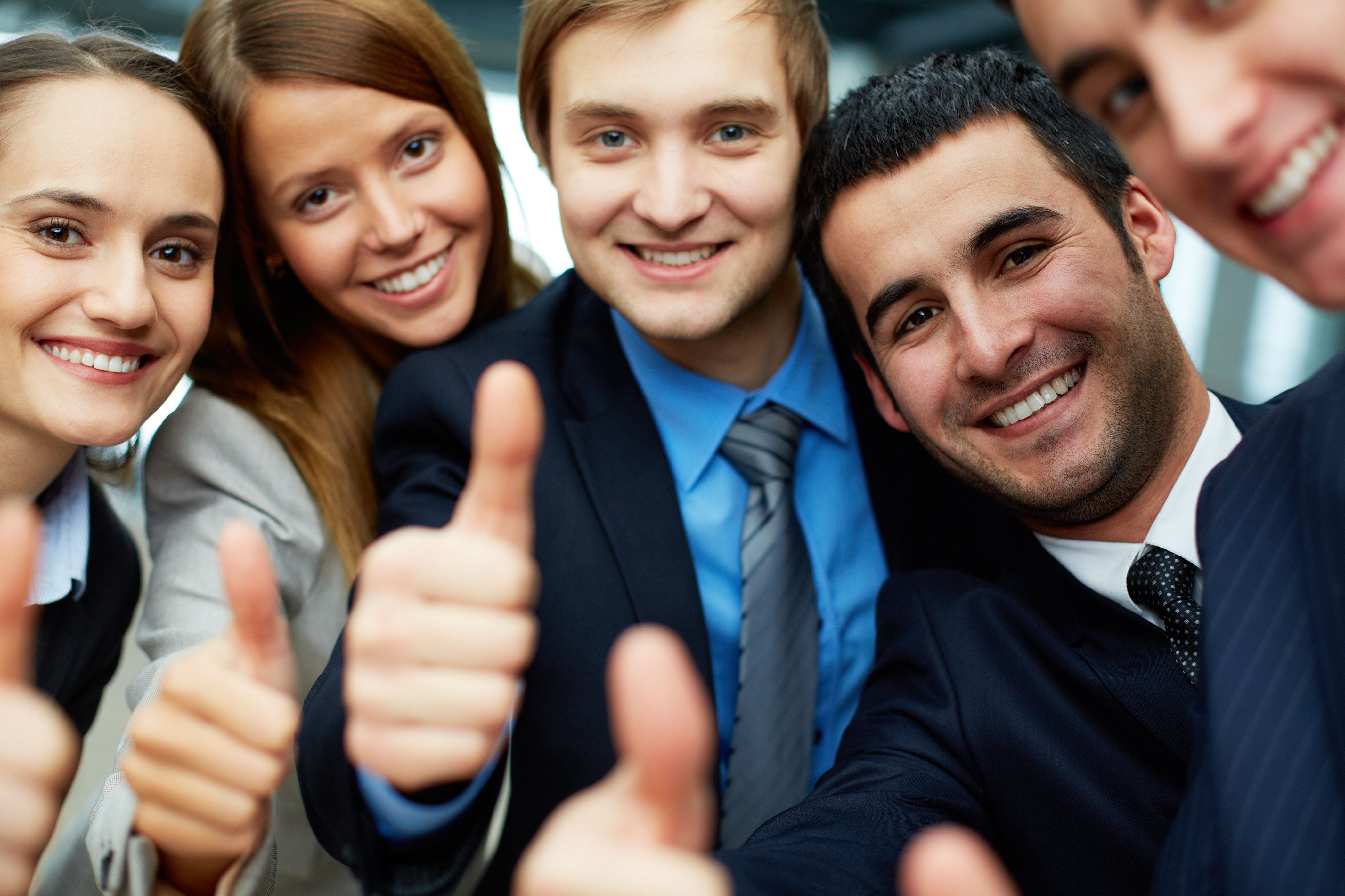 The Company Career System