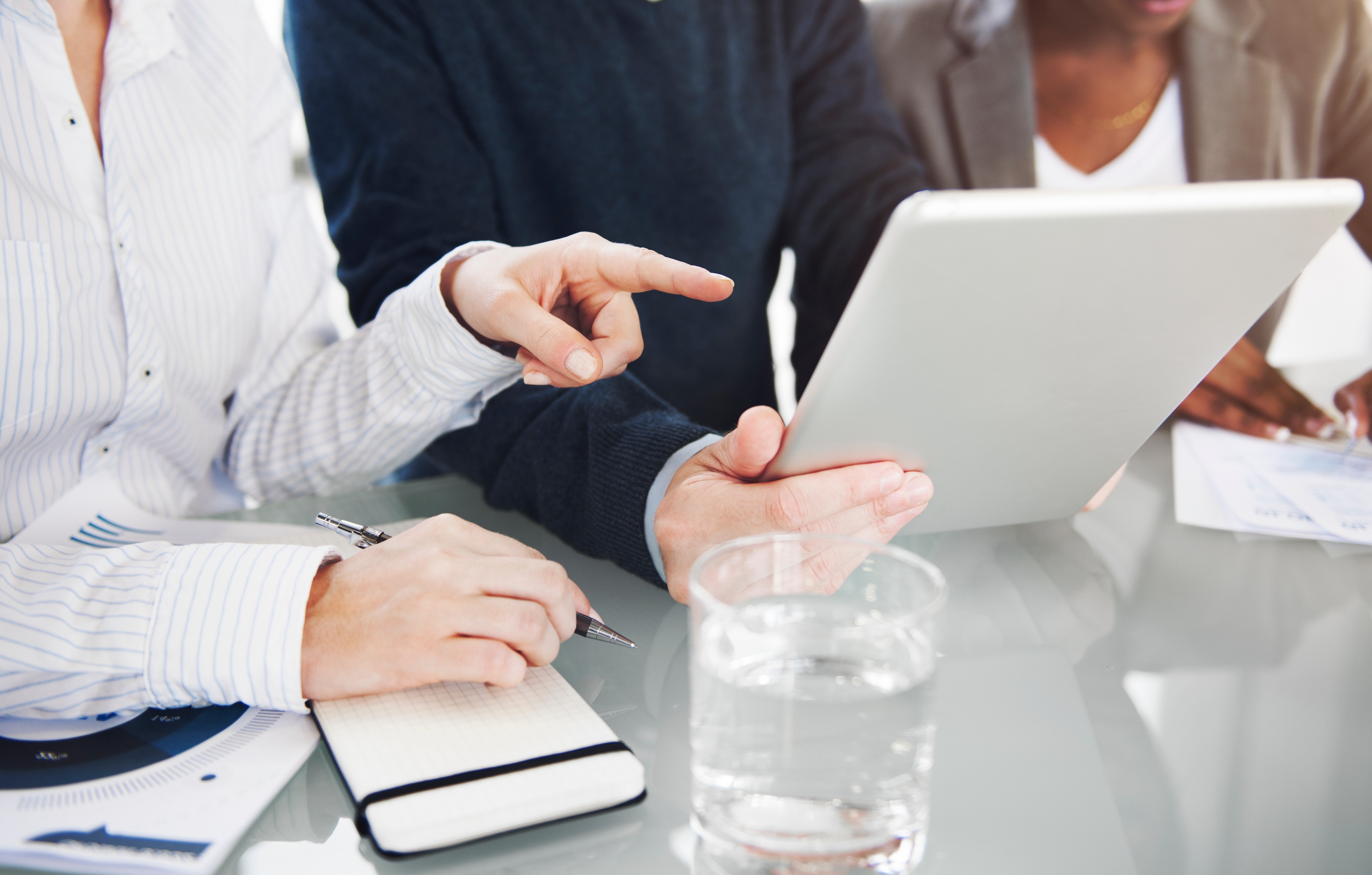 Potential Project Risks